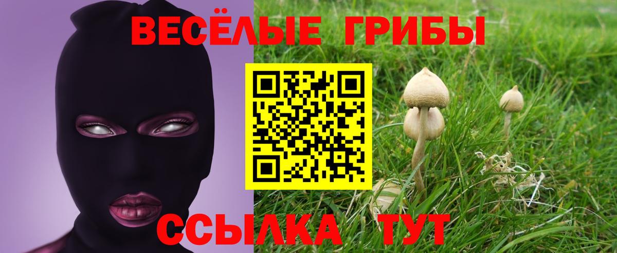 Псилоцибиновые грибы прущие грибы Губкин