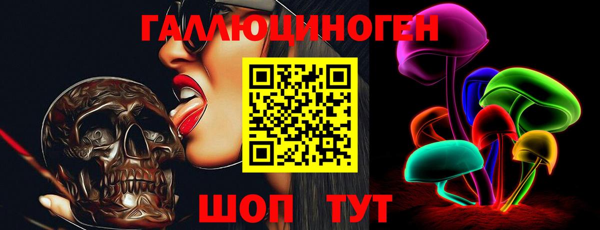 как найти закладки  Псилоцибиновые грибы Psilocybe  Вход с VPN  Губкин 
